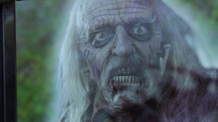 ���� �����