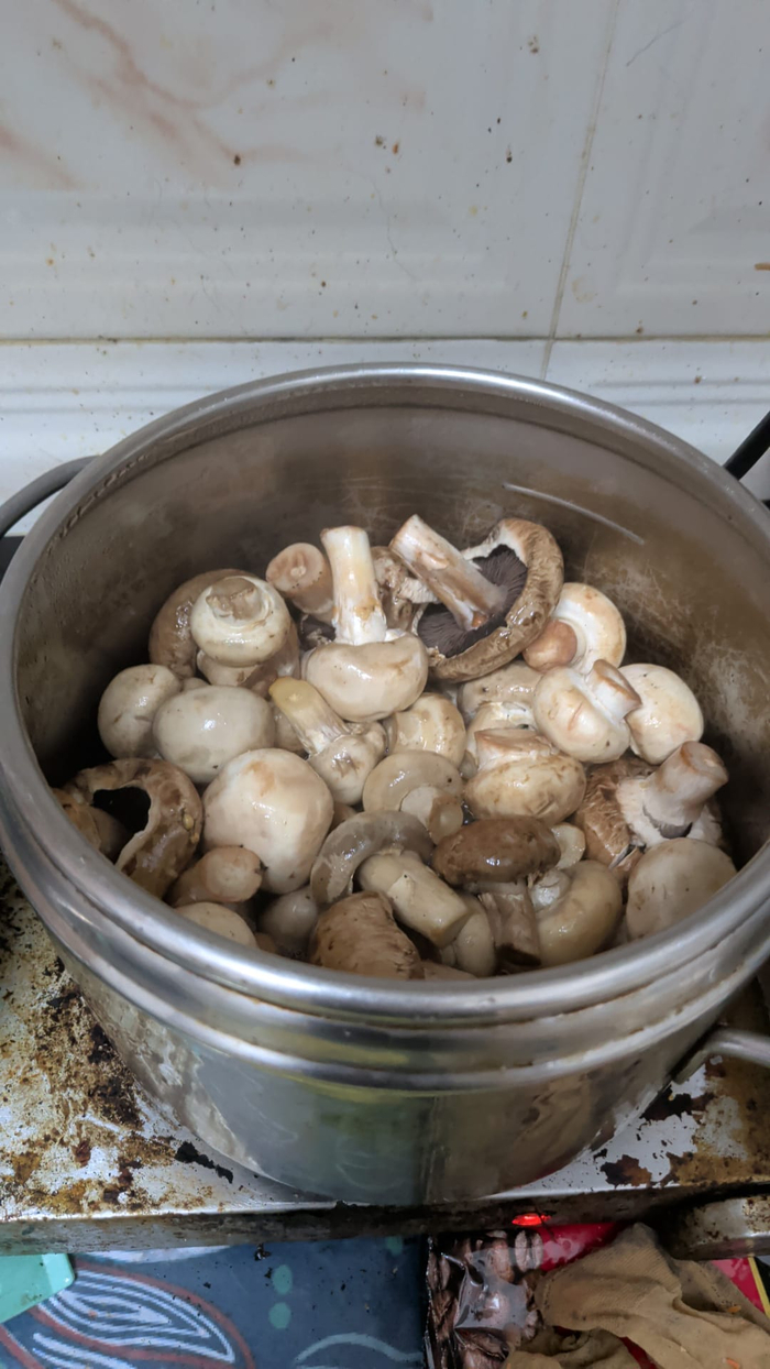 ��� �����, ����� ��� ���� ��� � ��� ����������� �� 50%