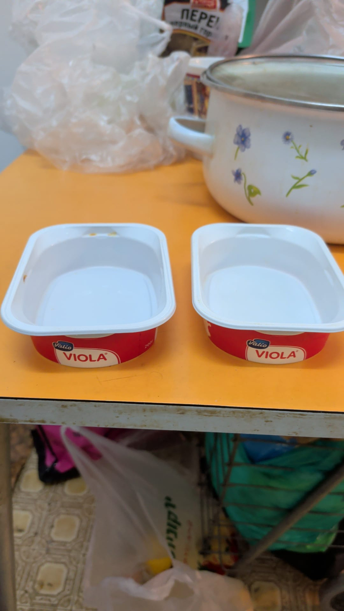 ���� ��� ���������� Viola