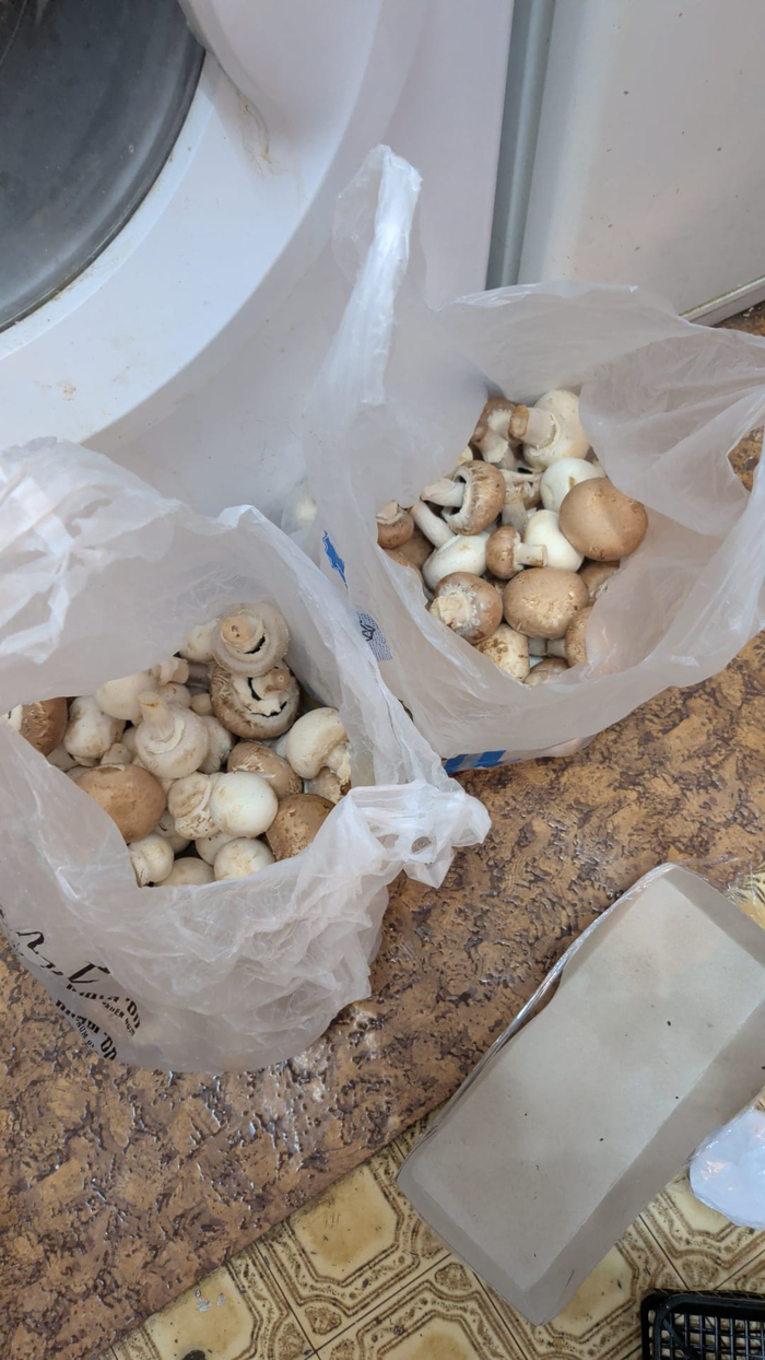 �������� �� ��� ������, ��� ��� ����� ������� �� ��� �����