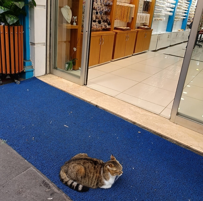 �������