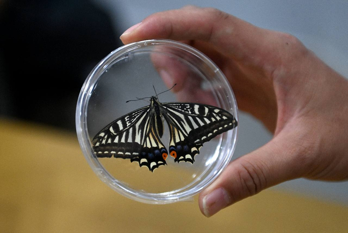 � ����� ������� ���������� �� ������ �� ����� ������������ ������. ����<a href="https://pikabu.ru/story/kitayskie_uchyonyie_proveli_yeksperiment_po_vyivedeniyu_babochki_v_kosmose_13666551?u=https%3A%2F%2Ft.me%2Frian_ru%2F332507&t=%D0%BE%D1%82%D1%81%D1%8E%D0%B4%D0%B0&h=14a95be2aea342ef29a03c15fb04b3398e2429ca" title="https://t.me/rian_ru/332507" target="_blank" rel="nofollow noopener"> ������</a>