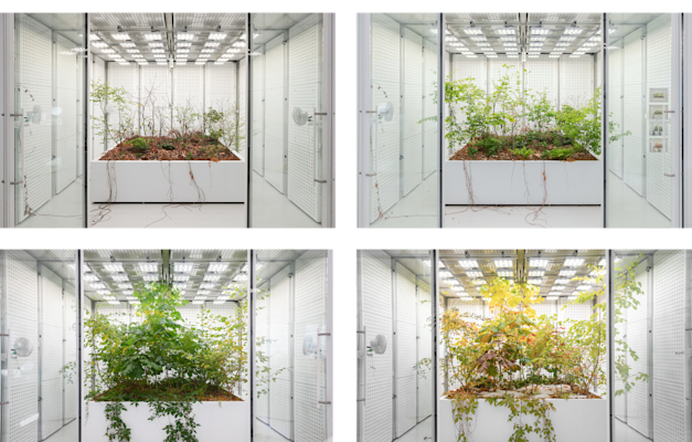 &nbsp;������������� ������� � ������� / ����: ������������� ������.