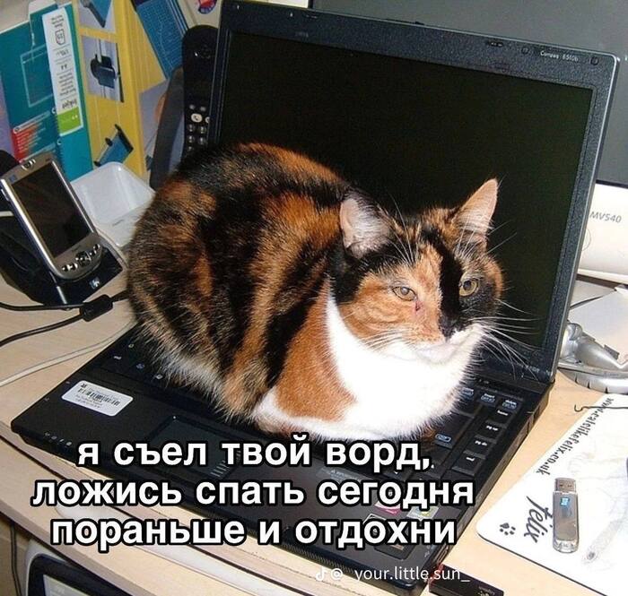 ��� ����� ����� ���