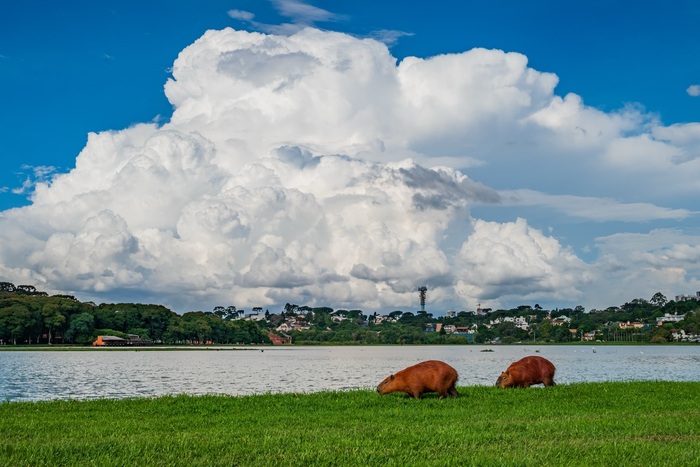 ������, ������ �� ���� �������...