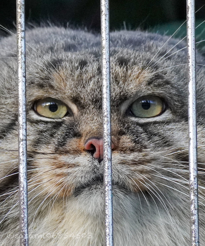 Подойди ближе ... ты вкусно пахнешь ...