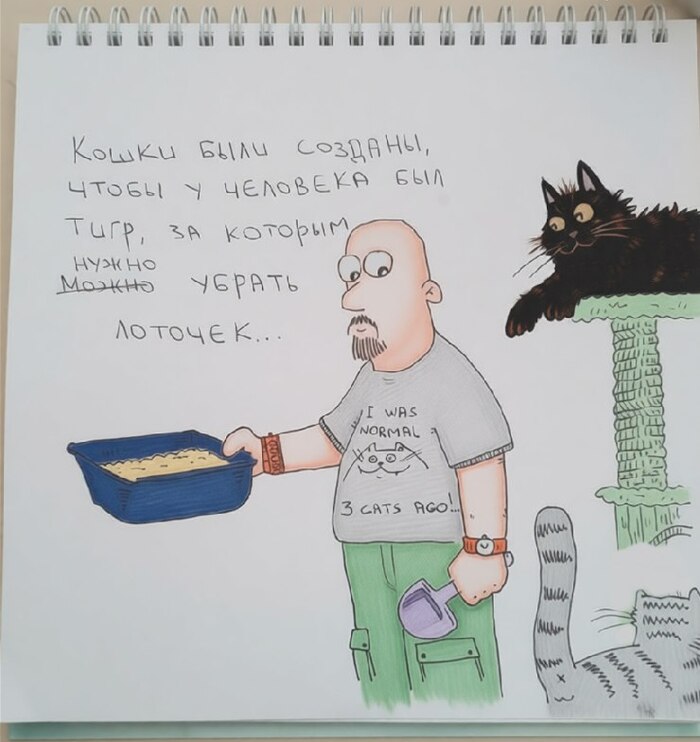 ... ����� ���� �������