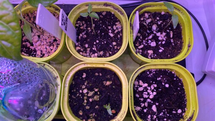 ���������� �����-��...