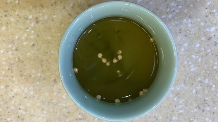 ������ ���������