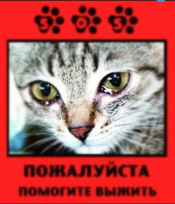 ����� ������. ������� 1.6