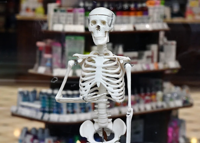 ����� ���� � ������