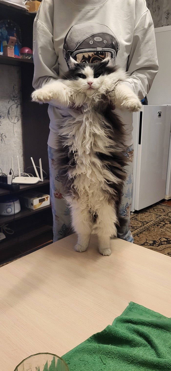 ��� �������