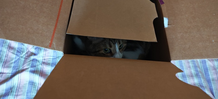 ����� AdeptCha0s � �������