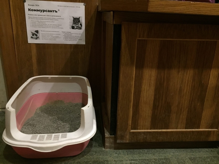 ������ ���������� ����  � ���� ��������� ������?