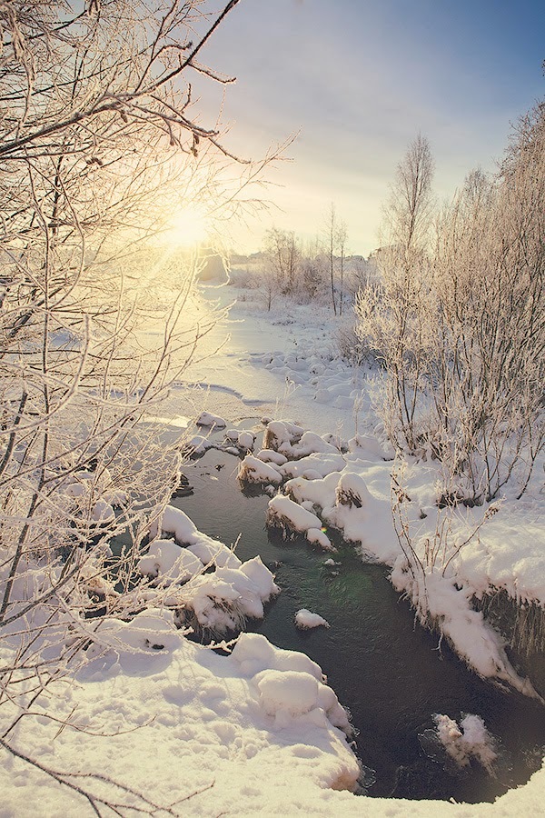 ������������� �����