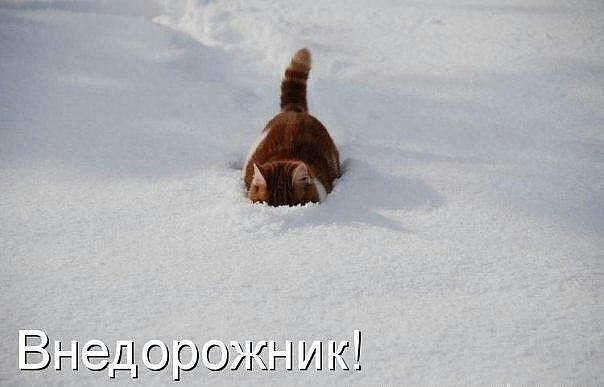 �� ������� ����