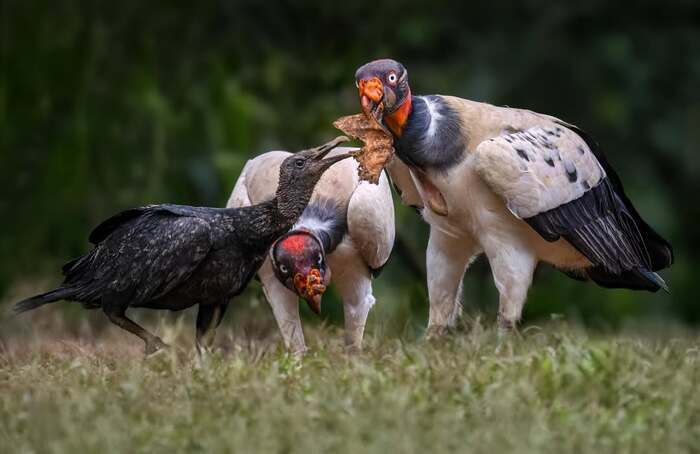 ��� ���!