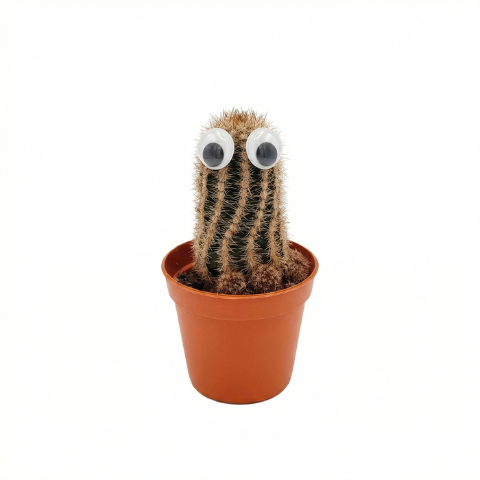 ������ � ������� ���������� ��������������