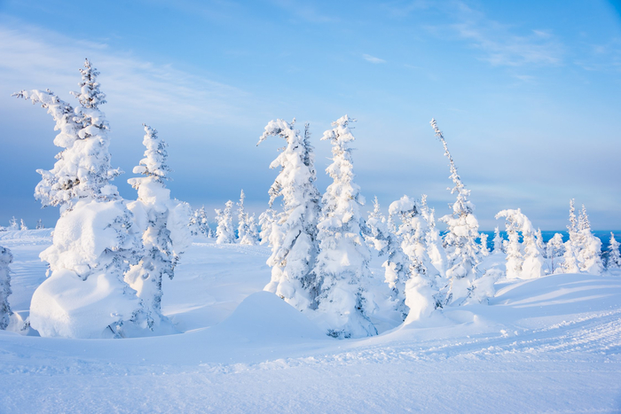 ����: ��� �������� <a href="https://pikabu.ru/story/zimniy_den_13672475?u=https%3A%2F%2Frtraveler.ru%2Fphoto%2F1481234%2F%3Fnew_photos%3D1&t=%D0%BE%D1%82%D1%81%D1%8E%D0%B4%D0%B0&h=0776a41c8c8d5bba97287abe71d56ed3384831fa" title="https://rtraveler.ru/photo/1481234/?new_photos=1" target="_blank" rel="nofollow noopener">������</a>