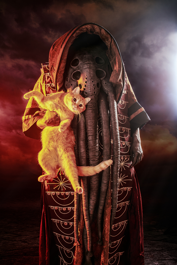 ����������� ������ � �������� ��������