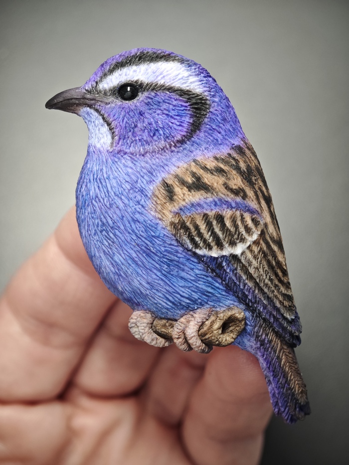 ������������ ������ ��������� �� ���������� ����� � ���� �����. ��������� ����� ��������. 