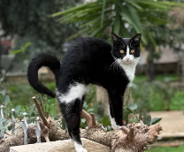 �������� ����