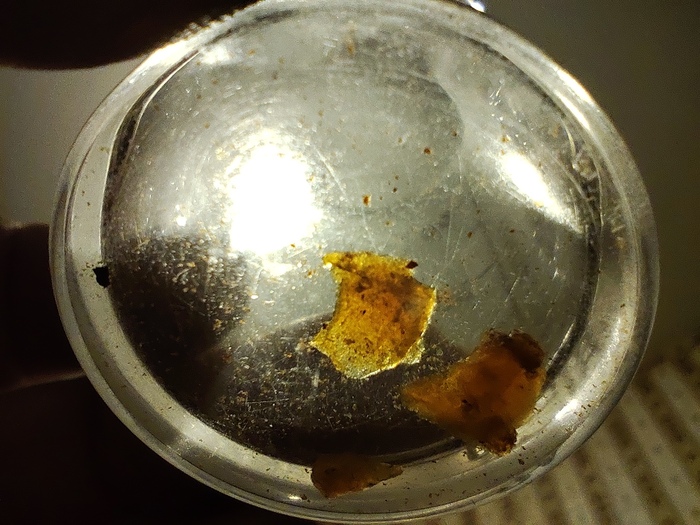 �������� ����� � �������� 80% ������� ����� ���������.