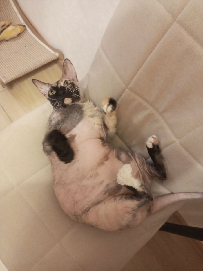 ��������� �� - ������� ������! ���� ������� �� ���� ��� ������� � �����������. 