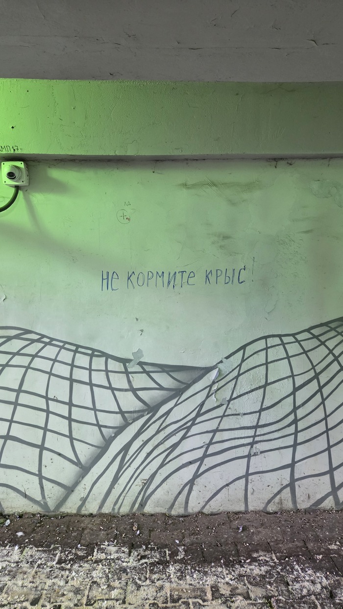 ������� � ��������