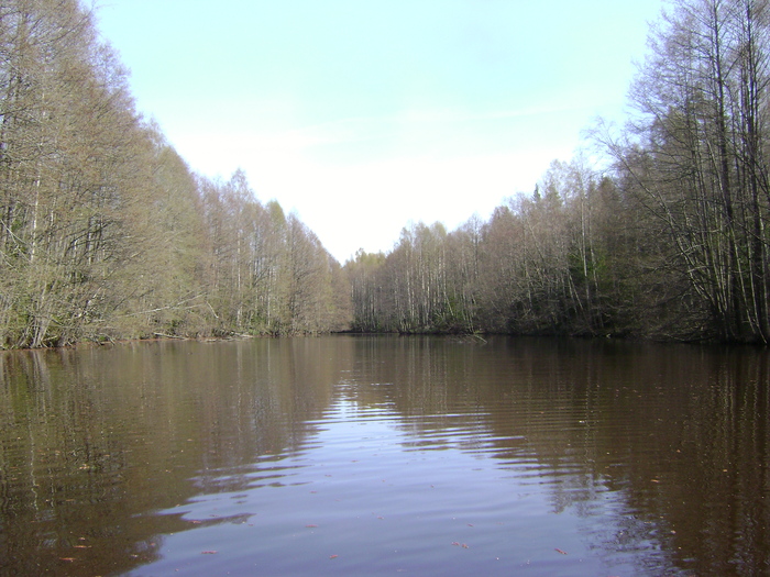 ��� ������ ,,�� 20 ���� -�� ����..