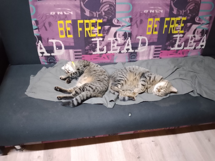 � ��� �����-�� ��� ������� ����� ��������� �����.