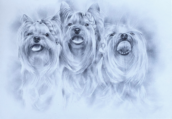 ����������� ���