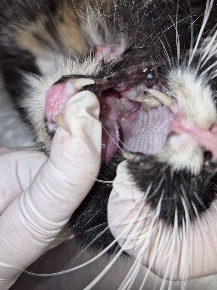 ������� �������� � �������.