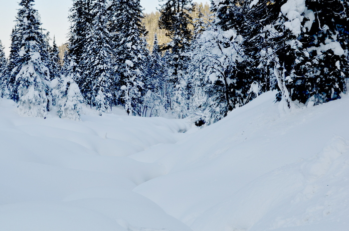 ��� ����� ������� �� ����� ������� �����