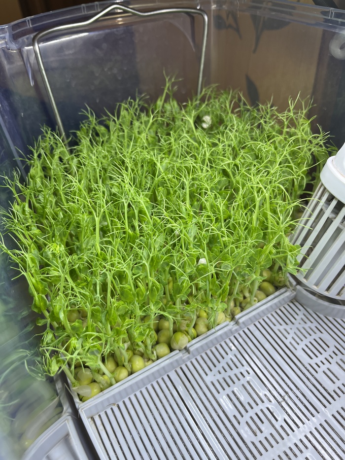 ����� � �������