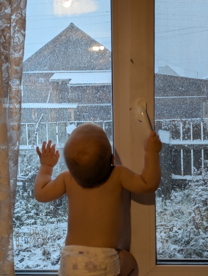 �����������,