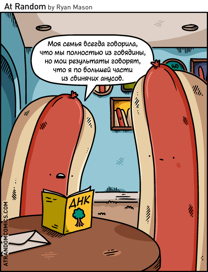 ���-���� ���-����