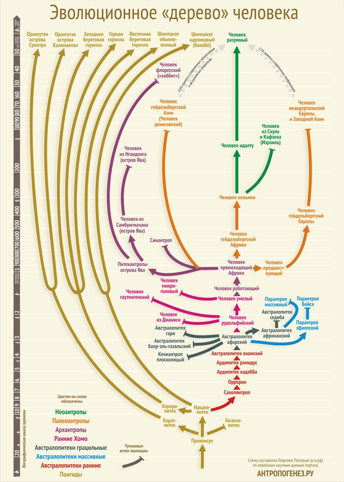 ���������� ����� ����� � ���� �������� (������������ � ����) � ������� ����� ������������.��