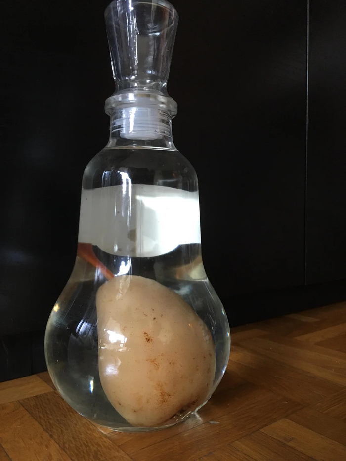 Просто настойка, и никаких вопросов!