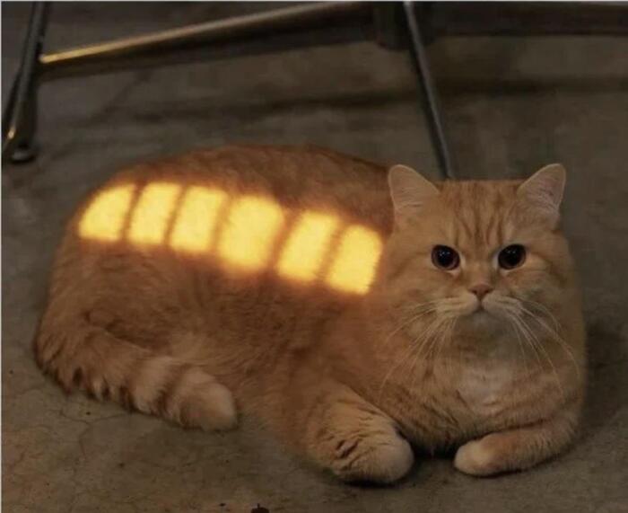 ������� ������ - 100%