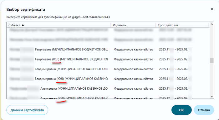 ���� ������ ����������� � ������� ����