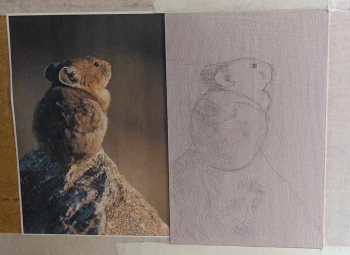 �������� ����� � ��������