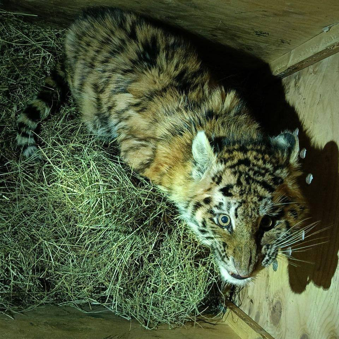 ������ �� ������ � ���������