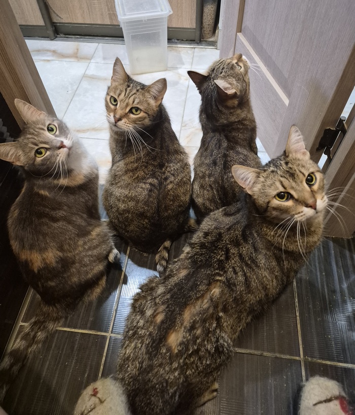 �������� �� ���� �����, ��� ������