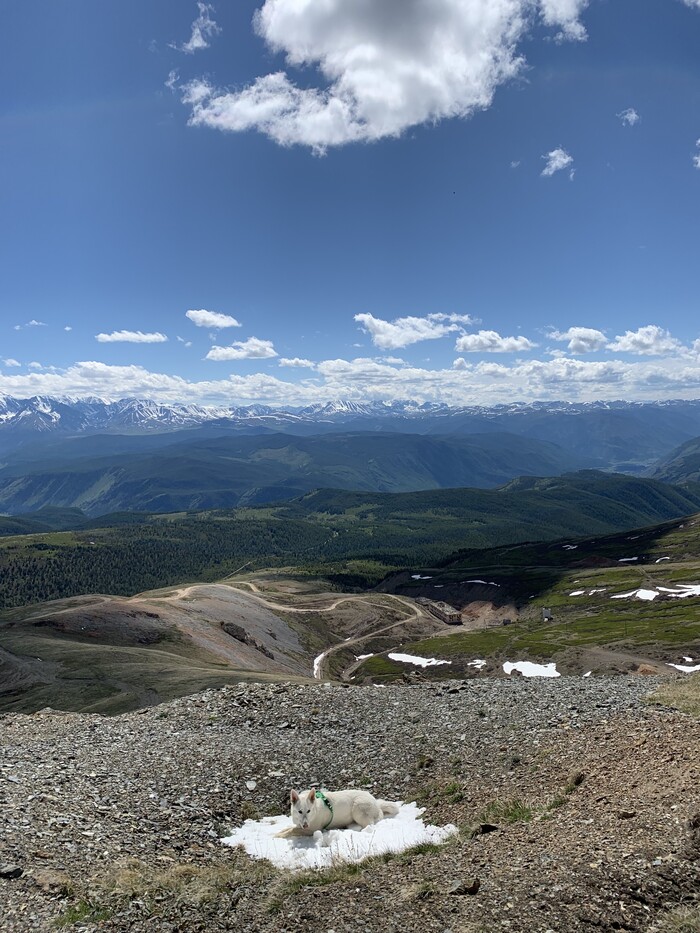 ����������� ����� ������ ������� ����� � ����