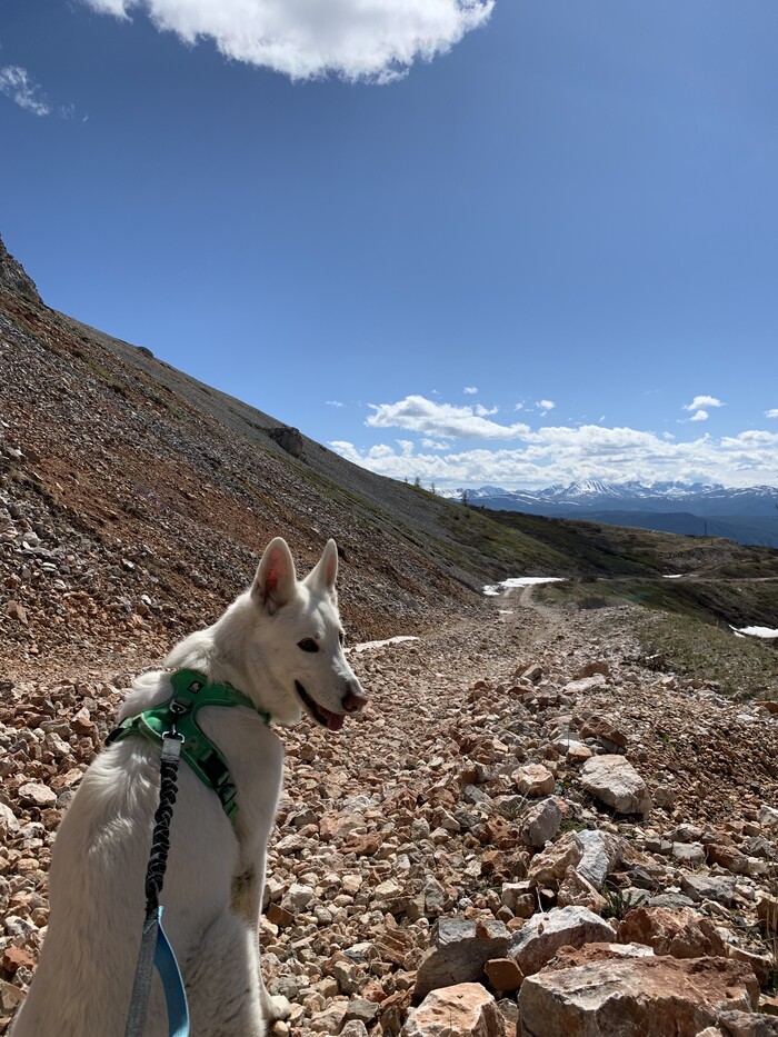 ���������� ����� � ���� �������, ������ ��������� ������� ������