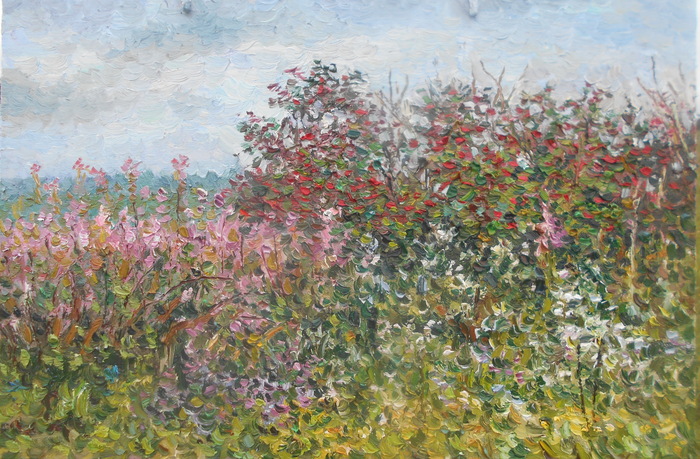 ����� ����� ����-���