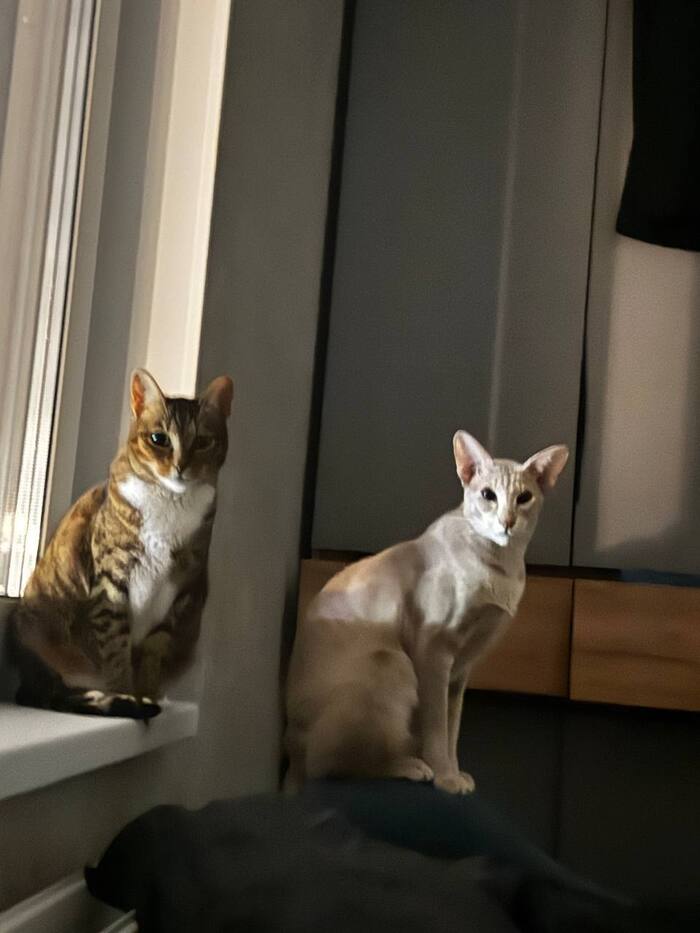 ����� ��� ������: ��� ������ �� ������������. ������ ���� ���!