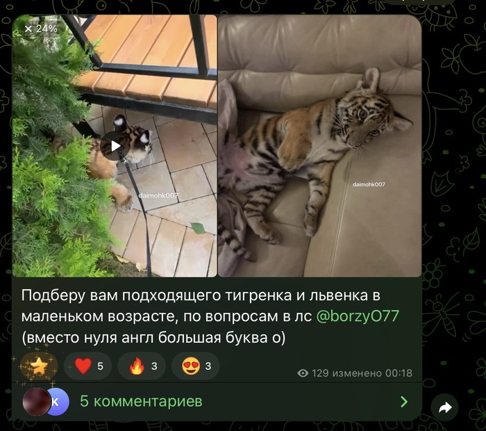 ���������� �������� ������ ���������