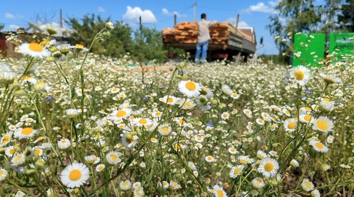 "��, ���� �������! ����� �� � ����, ����� � �� ����, �� ����, �� ������, �� ����" (�)